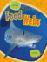 Food Webs (Life Science Stories)