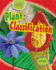 Plant Classification (Life Science Stories)