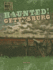 Haunted! Gettysburg (History's Most Haunted)