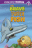 The Brave Puffer Fish (Stone Arch Readers, Level 3)