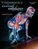 Study Guide for Rizzo's Fundamentals of Anatomy and Physiology, 3rd; 9781435438736; 1435438736