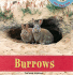Burrows (Home Sweet Home)
