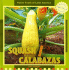 Squash / Calabazas (Native Foods of Latin America / Alimentos Indigenas De Latino America) (Spanish and English Edition)