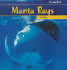 Manta Rays