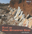 Slate and Other Metamorphic Rocks (Rock It! )