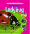 The Life Cycle of a Ladybug (Learning About Life Cycles)
