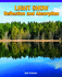 Light Show: Reflection and Absorption (Real Life Readers)