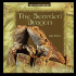 Bearded Dragon