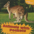 Animals With Pockets (Crazy Nature)