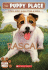 Rascal (Puppy Place)