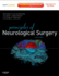 Principles of Neurological Surgery: Expert Consult-Online and Print (Principles of Neurosurgery)