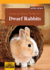 Games and House Design for Dwarf Rabbits: a Complete Pet Owner's Manual (Games and House Design for Pets Series)