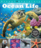 Ocean Life (Visual Explorers Series)