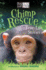 Chimp Rescue: True-Life Stories (Born Free...Books)
