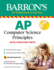 Ap Computer Science Principles: With 4 Practice Tests (Barron's Test Prep)