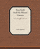 Tom Swift and His Wizard Camera