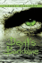 Devil's Backbone