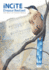 Incite: Dreams Realized (Incite: the Best of Mixed Media, 1)