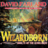 Wizardborn David Farland