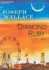 Diamond Ruby: a Novel