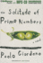 The Solitude of Prime Numbers