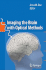 Imaging the Brain With Optical Methods