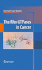 The Rho Gtpases in Cancer