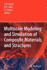 Multiscale Modeling and Simulation of Composite Ma