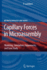 Capillary Forces in Microassembly