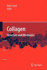 Collagen