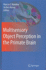 Multisensory Object Perception in the Primate Brain