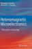 Heteromagnetic Microelectronics: Microsystems of Active Type