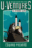 The Forbidden Castle (Choose Your Own Adventure, No. 14)