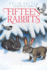 Fifteen Rabbits Format: Hardcover