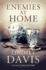 Enemies at Home: Flavia Albia 2 (Falco: the New Generation)