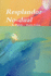 Resplandor No-Dual (Spanish Edition)
