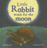 Little Rabbit Waits for the Moon