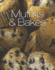 Perfect-Muffins & Bakes
