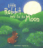Little Rabbit Waits for the Moon (Meadowside Picture Books)