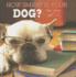 How Smart is Your Dog? : Test Your Pets Iq