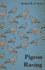 Pigeon Racing