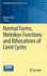 Normal Forms, Melnikov Functions and Bifurcations