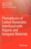 Photophysics of Carbon Nanotubes Interfaced With O