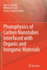 Photophysics of Carbon Nanotubes Interfaced With O