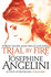 Trial By Fire (the Worldwalker Trilogy)