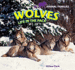 Wolves: Life in the Pack (Animal Families)