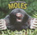 Moles (Animals Underground)