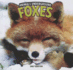 Foxes (Animals Underground)