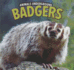 Badgers (Animals Underground, 5)