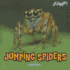 Jumping Spiders